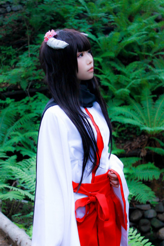 Illustration for article titled Who Needs Manga When There's Cosplay?